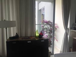 Sky@Eleven (D11), Condominium #202025852